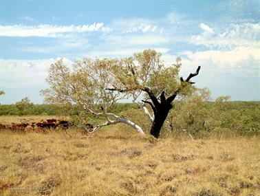 Black Mother - White Child, Mill Stream, Western Australia